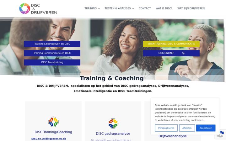 Screenshot von discendrijfveren.nl