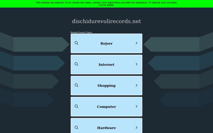 Skjámynd af dischidurevolirecords.net
