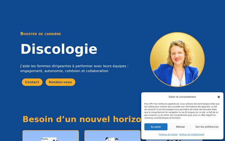 Posnetek zaslona discologie.fr
