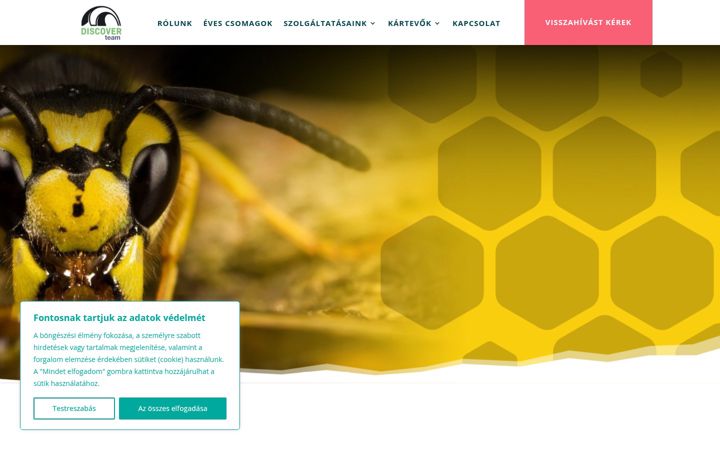 Screenshot of discoverteam.hu