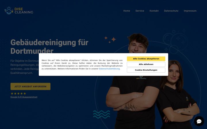 Screenshot of disecleaning.com