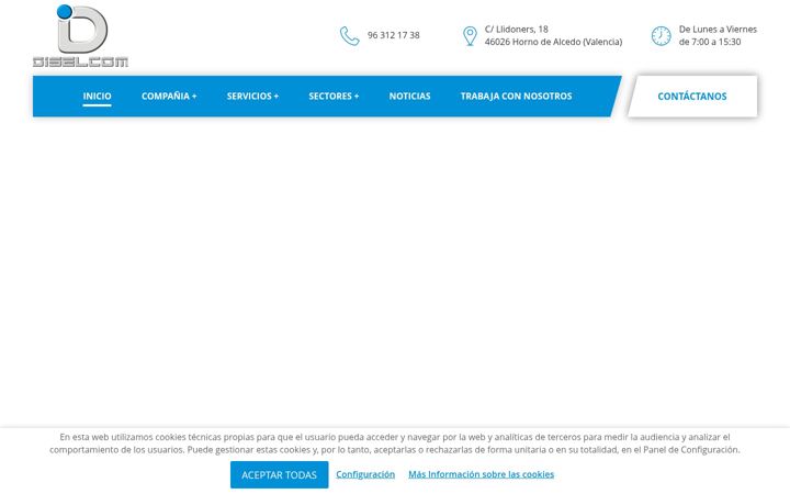 Screenshot stránky diselcom.es