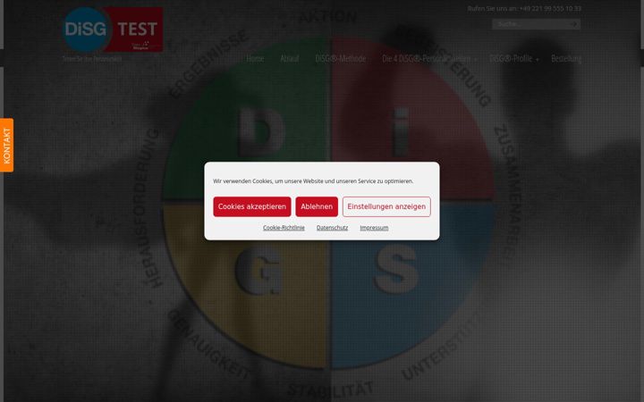 Screenshot of disg-test.de