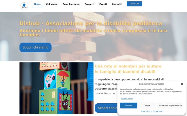 Screenshot of dishub.org
