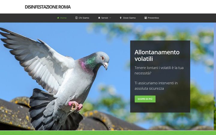Screenshot of disinfestazione-roma.it