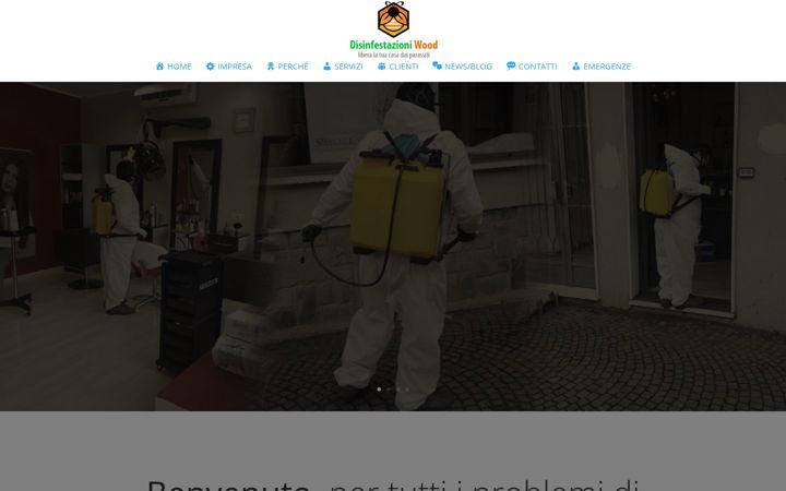Screenshot of disinfestazioniwood.com