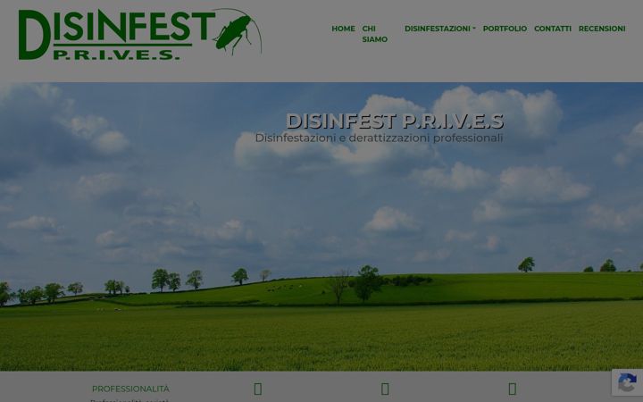 Screenshot of disinfestprives.com