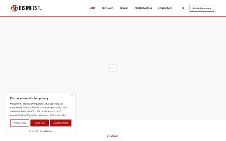 Screenshot of disinfestsrl.it