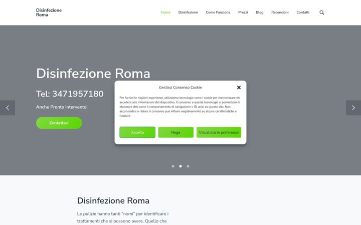 Screenshot of disinfezioneroma.it