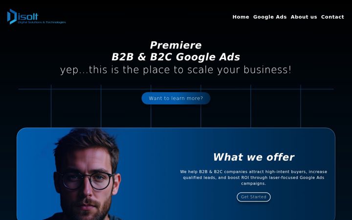 Screenshot of disolt.com