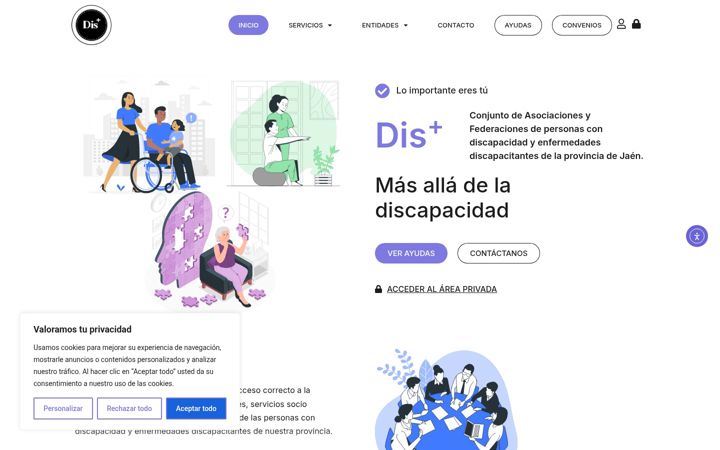 Screenshot of displus.org