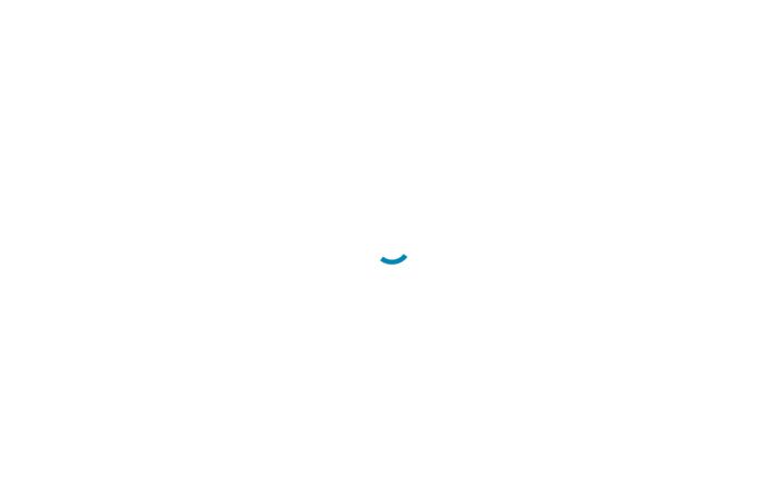 Screenshot of disruptiveleadership.institute