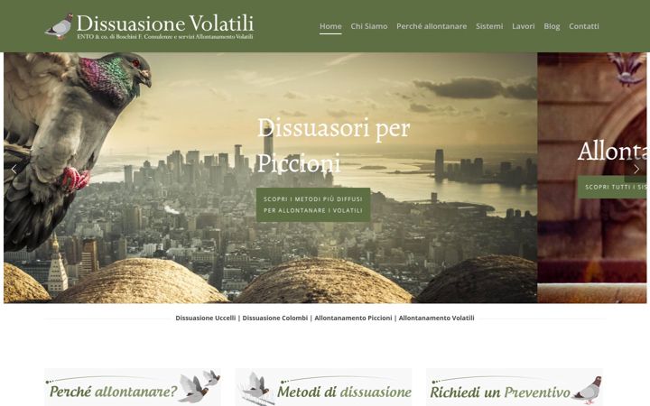 Screenshot of dissuasionevolatili.it