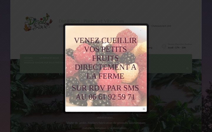 Captura de pantalla de distillreve.fr