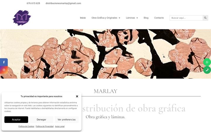 Screenshot of distribucionesmarlay.com
