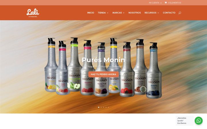Screenshot of distribuidoralali.com