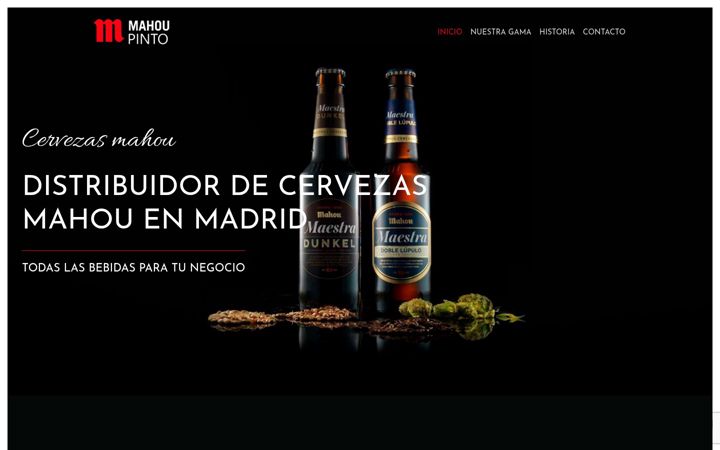 Snímek obrazovky distribuidorcervezamadrid.es