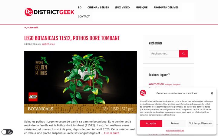 Captura de pantalla de district-geek.fr