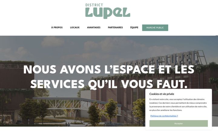 Screenshot stránky districtlupel.ca