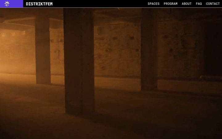 Screenshot of distriktfem.com
