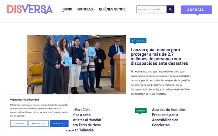 Screenshot of disversa.com