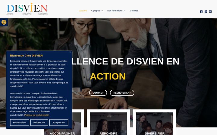 Captura de pantalla de disvien.fr