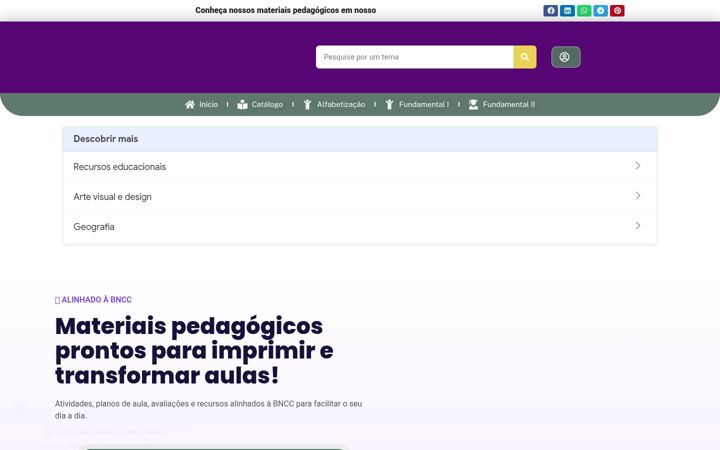 Screenshot of ditadinhokids.com