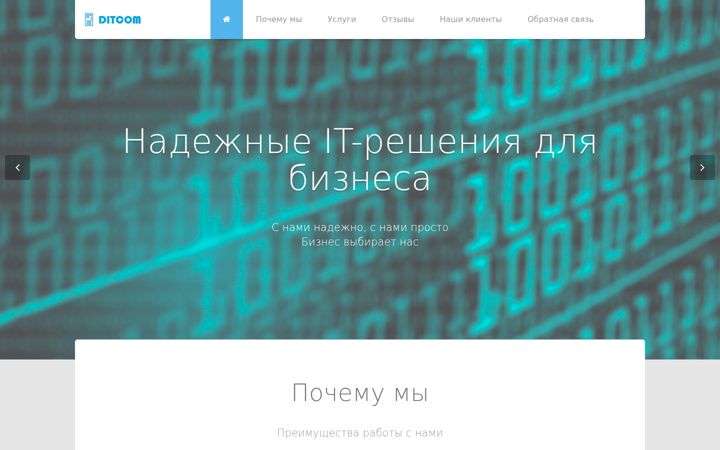 Screenshot of ditcom.ru
