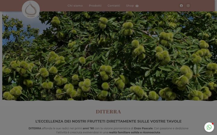 Screenshot di diterra.net