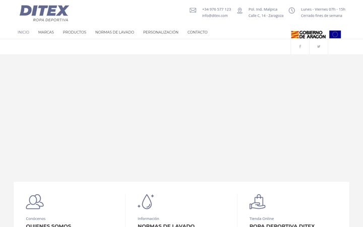 Screenshot of ditex.com