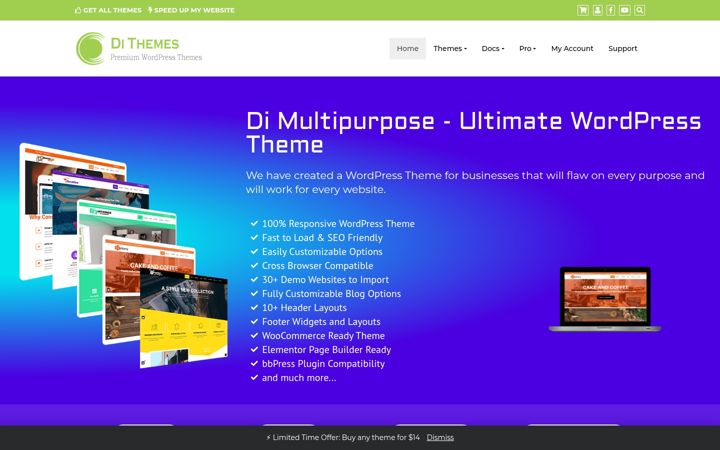 Screenshot of dithemes.com
