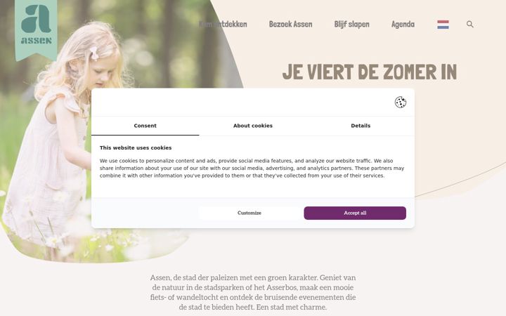 Screenshot von ditisassen.nl