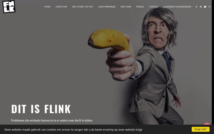 Screenshot von ditisflink.nl