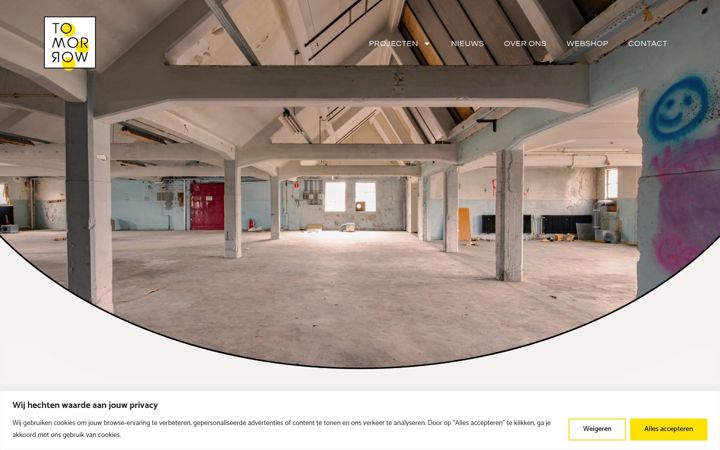 Screenshot von ditistomorrow.nl