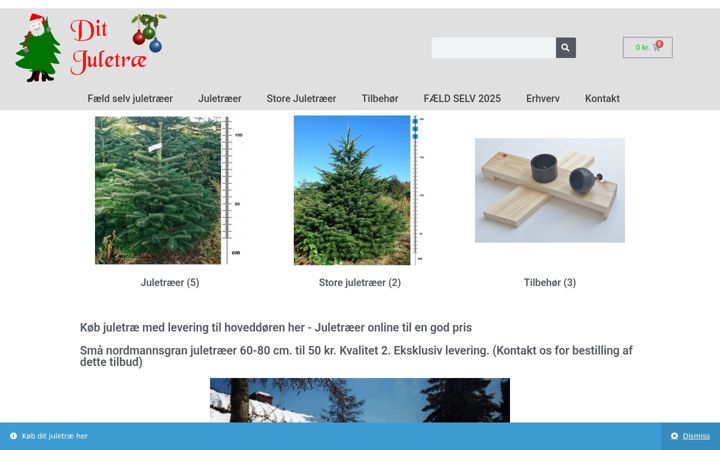 Posnetek zaslona ditjuletrae.dk