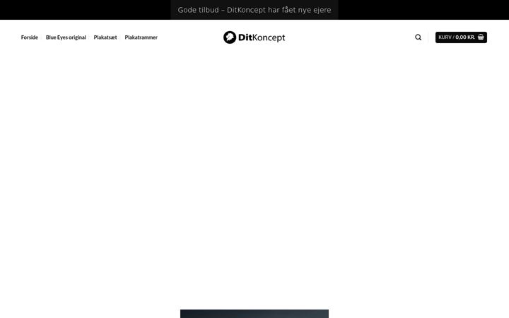 Posnetek zaslona ditkoncept.dk