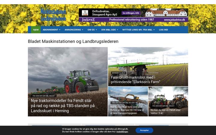 Captura de pantalla de ditmogl.dk