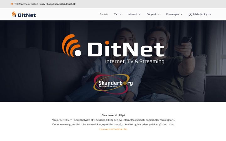 Captura de pantalla de ditnet.dk