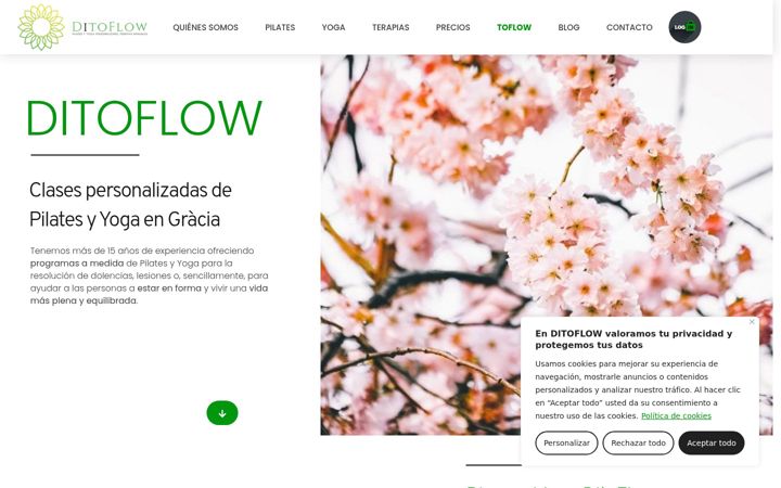 Screenshot of ditoflow.com