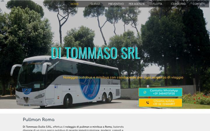 Snimka zaslona za ditommasoduiliosrl.it