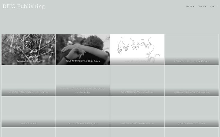 Screenshot of ditopublishing.com