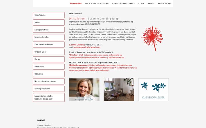 Captura de pantalla de ditstillerum.dk