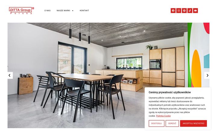 Screenshot of ditta-polska.pl