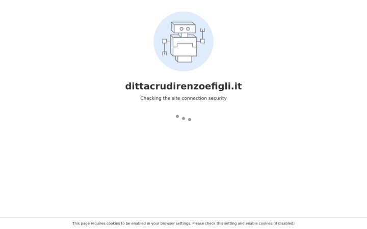 Screenshot di dittacrudirenzoefigli.it