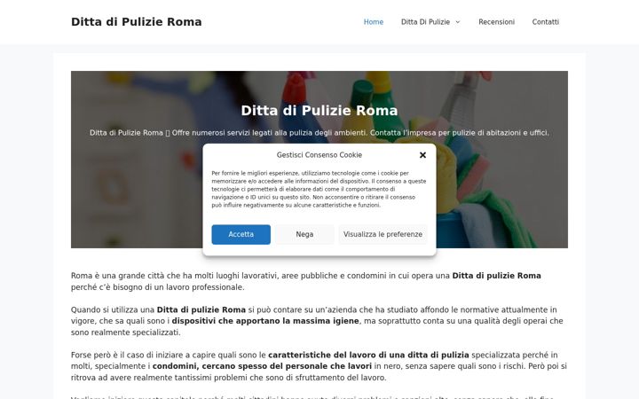 Screenshot of dittadipulizie.it