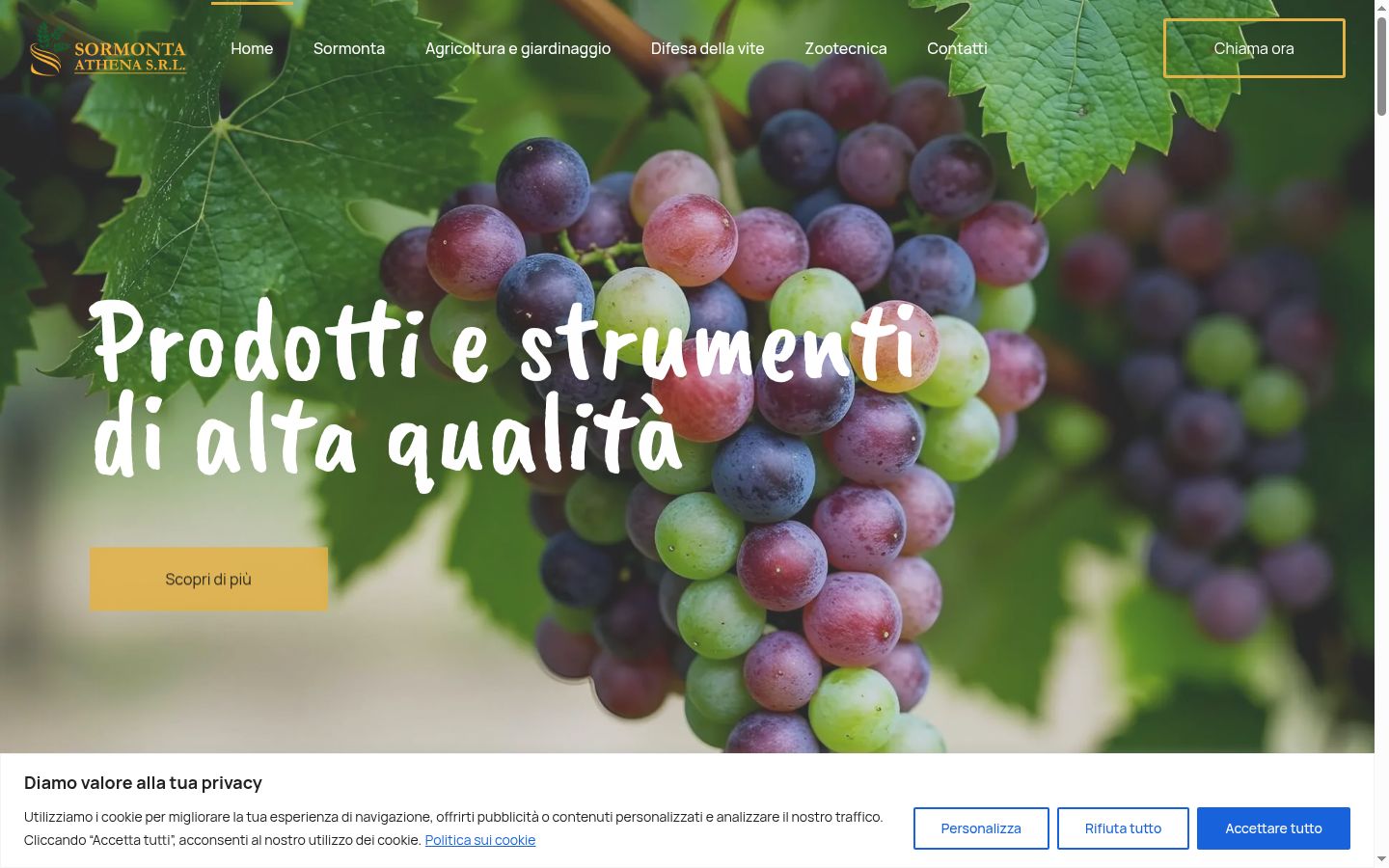 Screenshot of the consent banner shown before any interaction