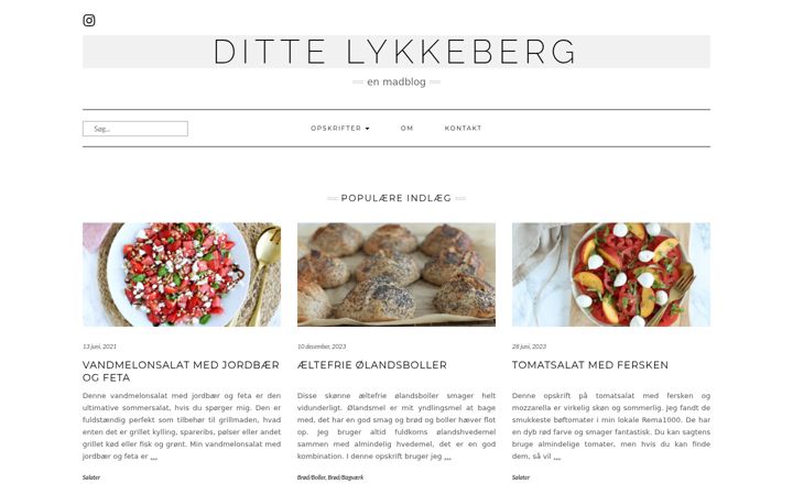 Captura de pantalla de dittelykkeberg.dk