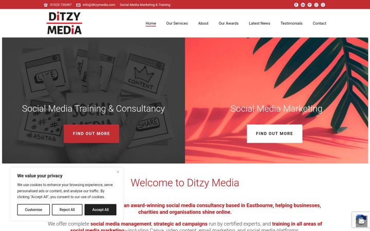Screenshot of ditzymedia.com