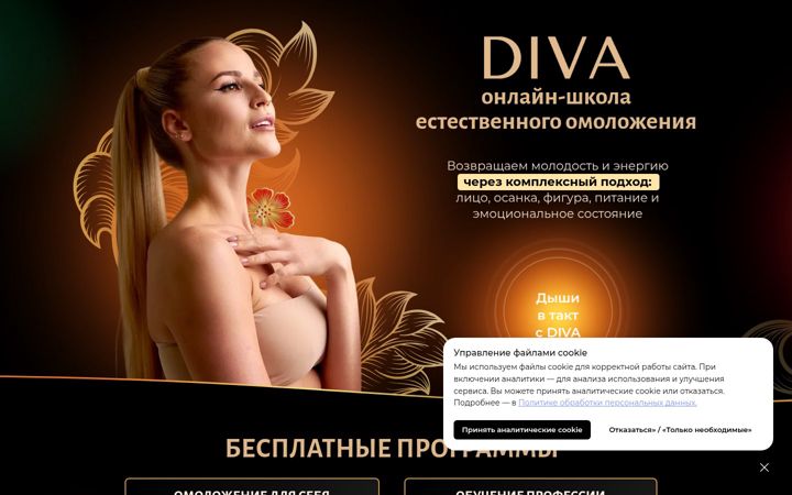 Screenshot van diva.school