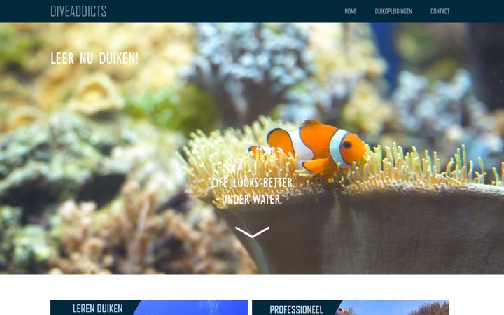 Screenshot of diveaddicts.org